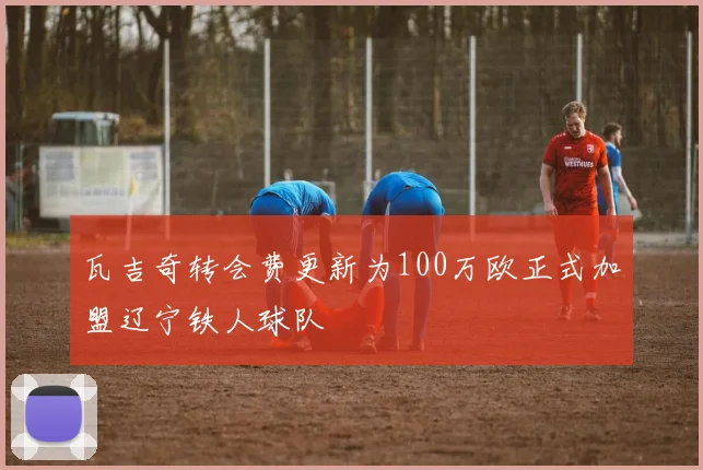 瓦吉奇转会费更新为100万欧正式加盟辽宁铁人球队